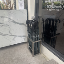 фото из отзыва ID 2684788