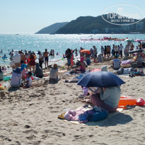 фото из отзыва ID 2685182