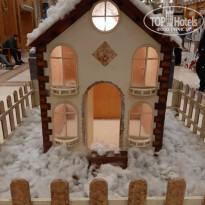 фото из отзыва ID 2685148