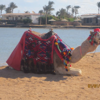 фото из отзыва ID 2685148