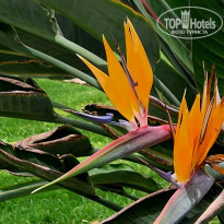фото из отзыва ID 2685271