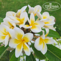 фото из отзыва ID 2685271