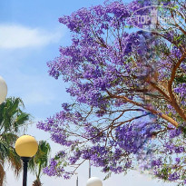фото из отзыва ID 2685271
