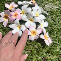 фото из отзыва ID 2685274