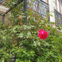 фото из отзыва ID 2685309