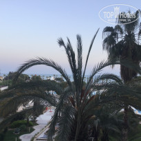 фото из отзыва ID 2685162