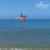 фото из отзыва ID 2685351