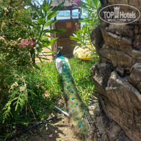 фото из отзыва ID 2685445