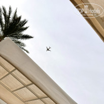 фото из отзыва ID 2685458