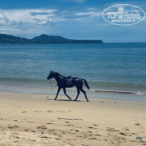 фото из отзыва ID 2684788