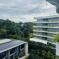 фото из отзыва ID 2684788