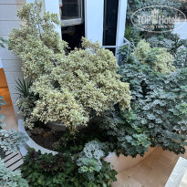 фото из отзыва ID 2685488