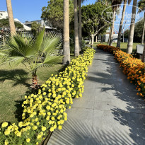 фото из отзыва ID 2685488