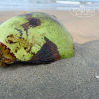 фото из отзыва ID 2685493