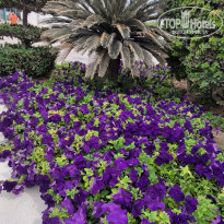 фото из отзыва ID 2685506