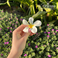 фото из отзыва ID 2685548