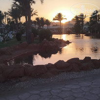 фото из отзыва ID 2685559