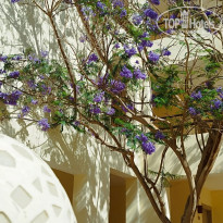 фото из отзыва ID 2685559