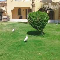 фото из отзыва ID 2685559