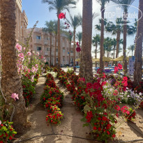 фото из отзыва ID 2685593