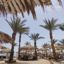 фото из отзыва ID 2685597