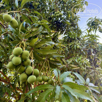 фото из отзыва ID 2685604