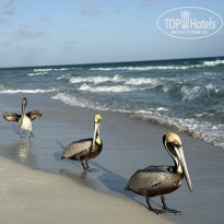 фото из отзыва ID 2685604