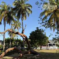 фото из отзыва ID 2685604