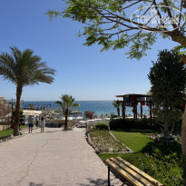 фото из отзыва ID 2685611