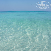 фото из отзыва ID 2685640