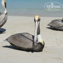 фото из отзыва ID 2685640