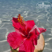 фото из отзыва ID 2685640