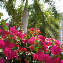 фото из отзыва ID 2685640