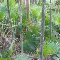 фото из отзыва ID 2685640