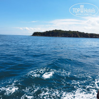 фото из отзыва ID 2685670