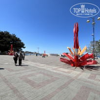 фото из отзыва ID 2685669