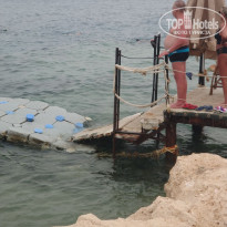 фото из отзыва ID 2685219