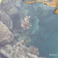 фото из отзыва ID 2685219