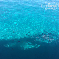 фото из отзыва ID 2685722