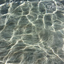 фото из отзыва ID 2685722