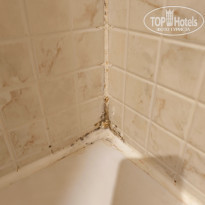 фото из отзыва ID 2685754