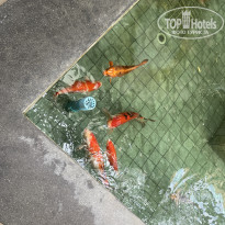 фото из отзыва ID 2685774