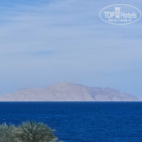 фото из отзыва ID 2684870