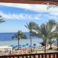 фото из отзыва ID 2684870