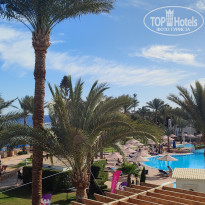 фото из отзыва ID 2684870