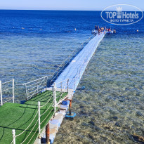 фото из отзыва ID 2684870