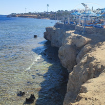 фото из отзыва ID 2684870