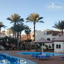 фото из отзыва ID 2684870