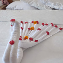 фото из отзыва ID 2684870