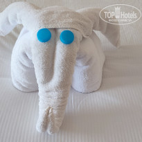 фото из отзыва ID 2684870